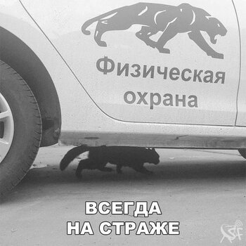 На страже.jpg