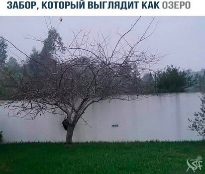 Забор.jpg