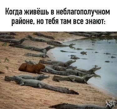 Все знают.jpg