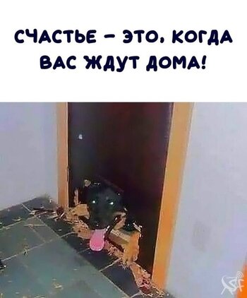 Счастье.jpg