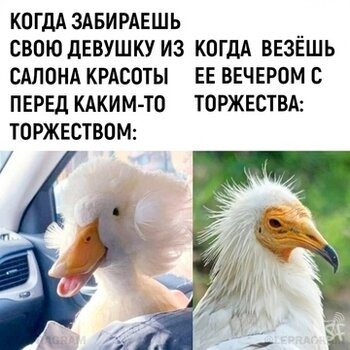 Забираешь девушку.jpg