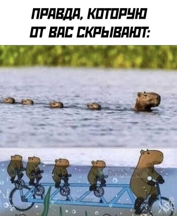 От вас скрывают.jpg