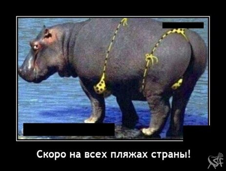 Скоро.jpg