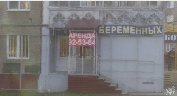 Аренда беременных.jpg