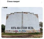 Хоть на стену лезь.jpg