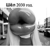 Шёл 2030jpg.jpg