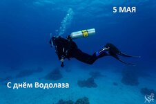 90052.jpg
