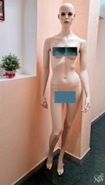 03445.png