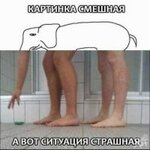 1557143906_13018897.jpg