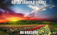 1557143920_13018900.jpg