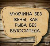 08554.jpg