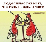 1747018976839.png