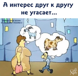 1747019035431.png