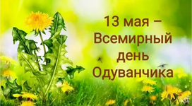 1747099170634.png