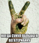1747454175305.png