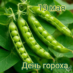 1747618206801.png