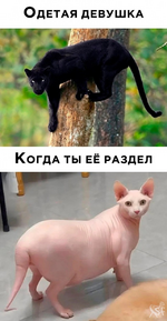 1747707210958.png