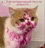 FIdPwIpOv38.jpg