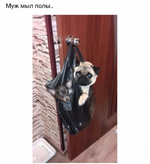1748058856393.png
