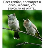 1748144790966.png