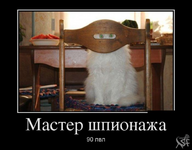 1748316360810.png