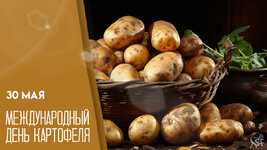 b9ed86b67dd3784dc5b3021510777fa5.jpg