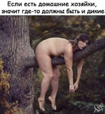 1748569481149.png