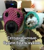 1748190983_7.jpg