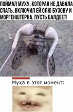 1743780041_2.jpg