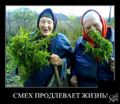 1748915471542.png