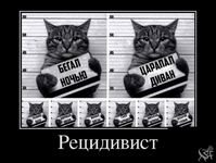 1748915540508.png