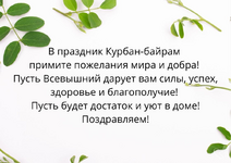 1749173077450.png
