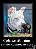 1749173880571.png
