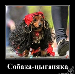 1749173902217.png