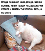 1749350265022.png