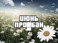 19207661.jpg