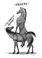 1748456531_6.jpg