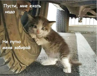 1750212770416.png