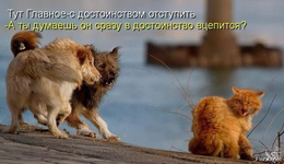 1750385386275.png