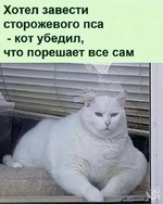1750561595723.png