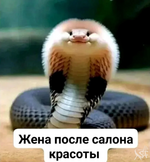 1750561619697.png