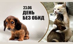 4bf5327edef91772f3bdf4ed0bce7aca[1].jpg