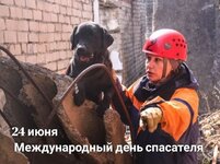 8bfdc485e729e1c88b60dd152450ab8f[1].jpg