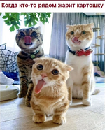 1751076844832.png
