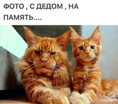 1751174564373.png