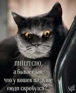 1751505439398.png