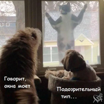 1751593732696.png