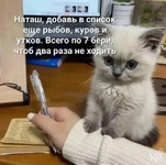 1751939499864.png