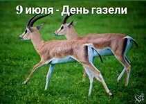 147a245b8cb402c525dd9b19c7f58f64[1].jpg