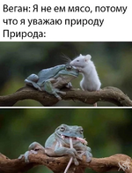 1752114993292.png